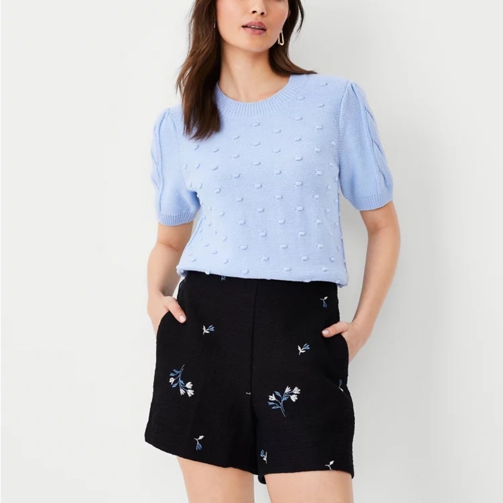 Ann Taylor Soft Blue Knit Sweater Tee